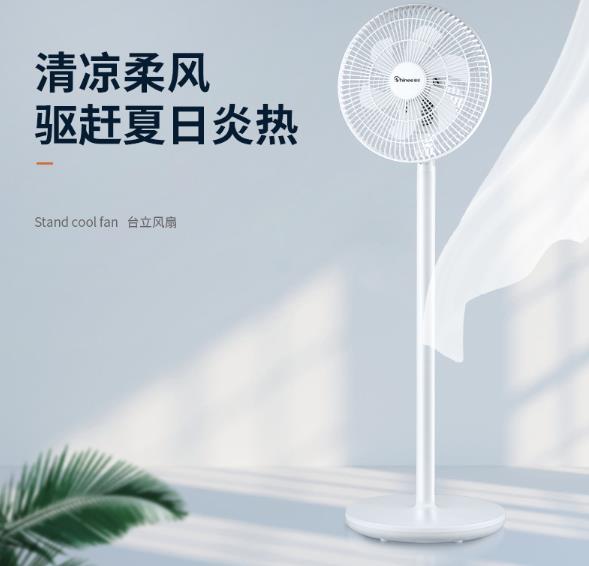 賽億電風(fēng)扇哪個(gè)型號(hào)好用性價(jià)比高