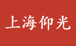 上海仰光科技